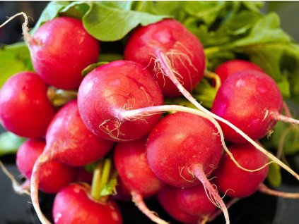 radishes 6166443 1280
