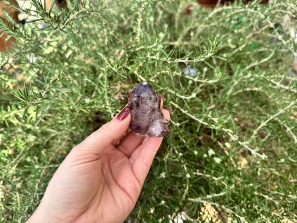 HOLUBNÍK Z AMETYSTU