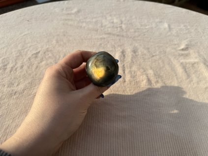 LABRADORITOVÁ HOUBA