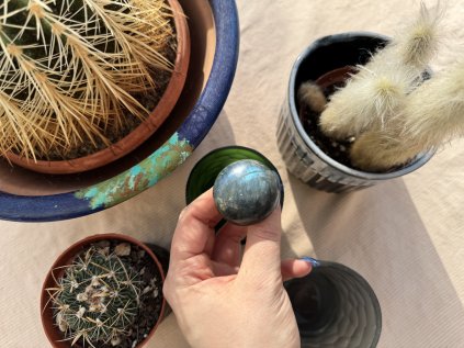 LABRADORITOVÁ HOUBA