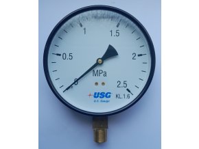 150mm sp M20 0 2,5 MPa