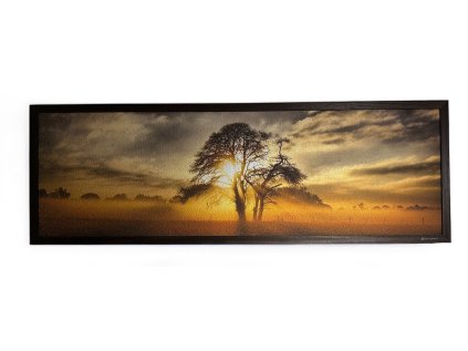 Photoroom 20251021 091218