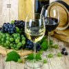 602x602 300W sklenky vina