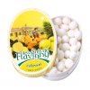 Oválná plechovka 50g citrón (lemon)