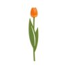 1381 - Záložka, tulipán, oranžová, nylon/PVC