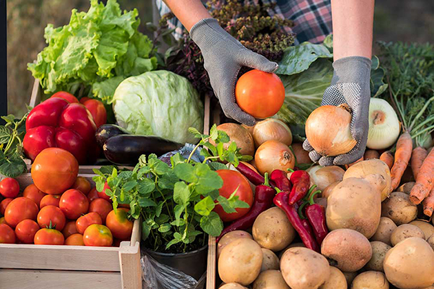 Průvodce nákupem zdravých potravin