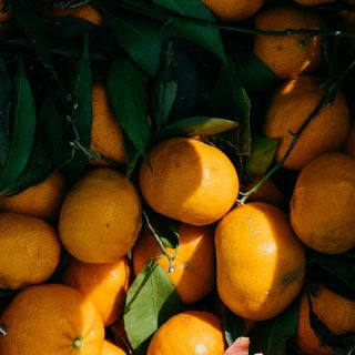 Nový BLOG 📝 Potraviny s vysokým obsahom vitamínu C🫑🍊🍋 Jedlo je jednou z najzákladnejších potrieb a všetci máme na výber,...