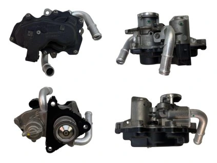 Photoroom 20260223 130810