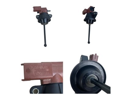 Photoroom 20240305 102844