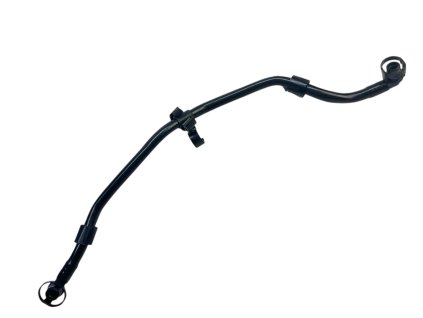 Photoroom 20250806 152802