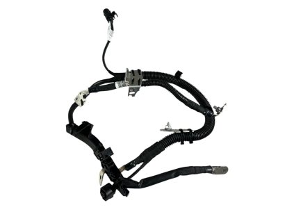 Photoroom 20260109 144434