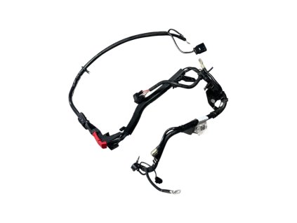 Photoroom 20260113 142237