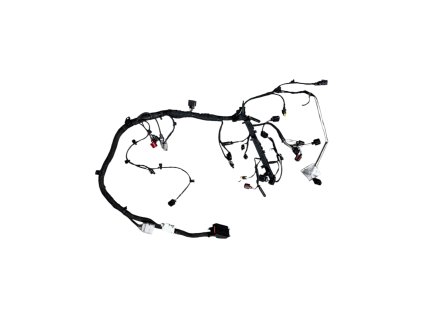 Photoroom 20260116 114947