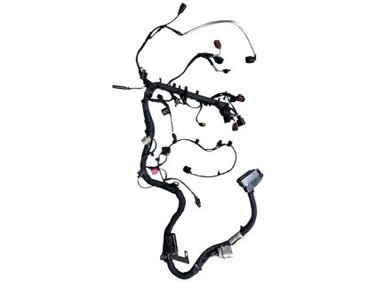 Photoroom 20260119 095647