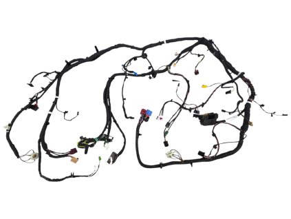 Photoroom 20260202 114116