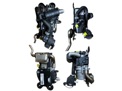 Photoroom 20240307 113327