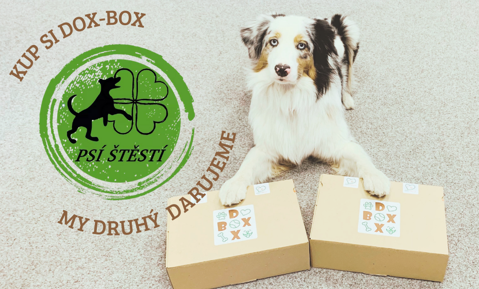 Akce DOX-BOX pro PSÍ ŠTĚSTÍ