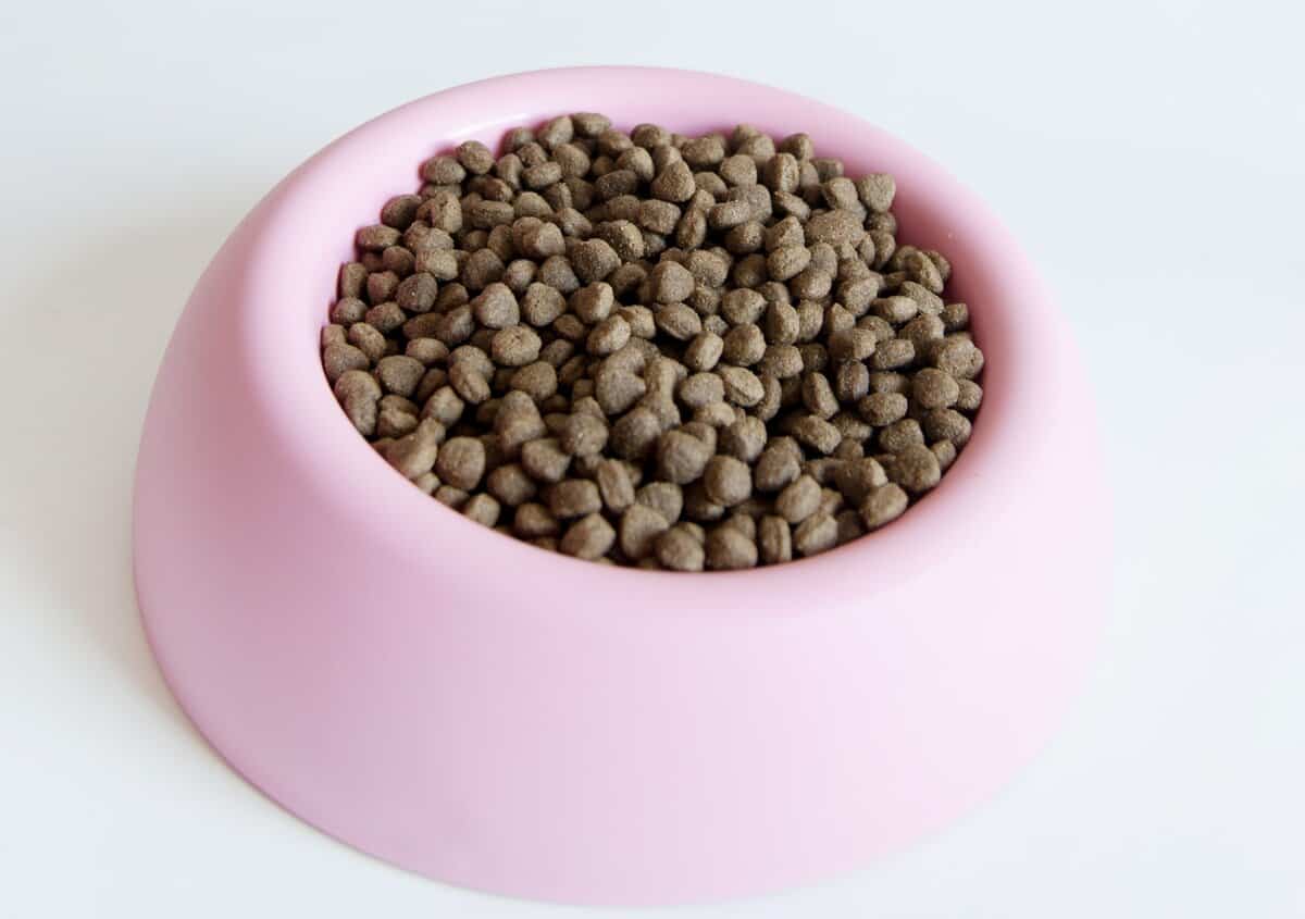 Holistické krmivo - vše, co potřebujete vědět