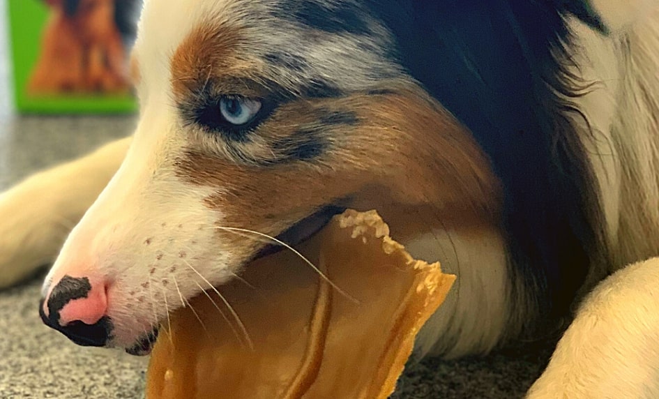 3 důvody pro tento dentální pamlsek