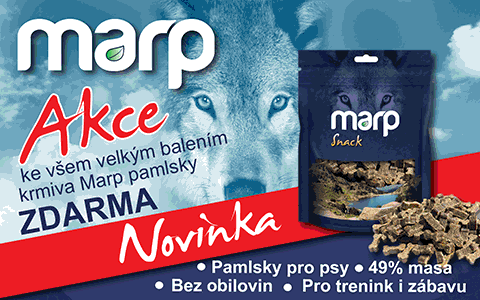 Pro Vašeho mazlíčka máme pamlsek ZDARMA.