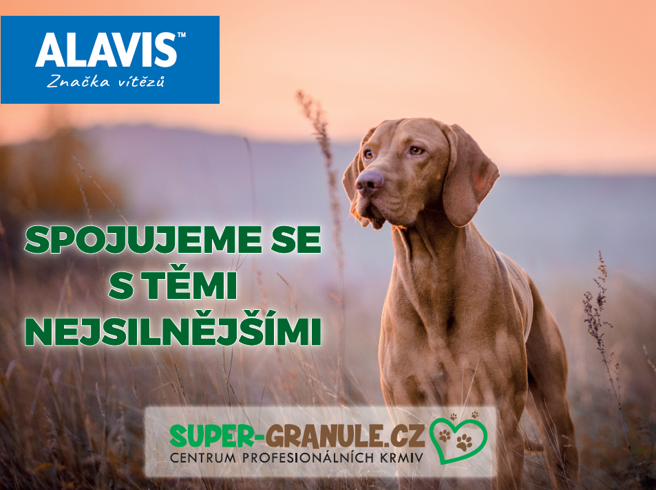 ALAVIS Značka vítězů