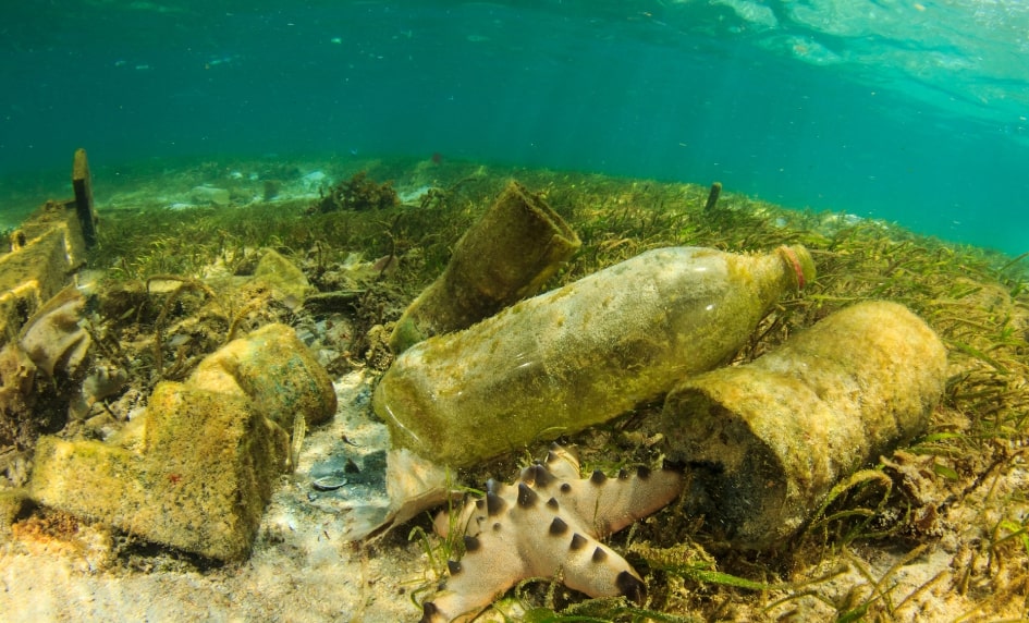 300 miliónů tun plastů v oceánech! Zastavme to!