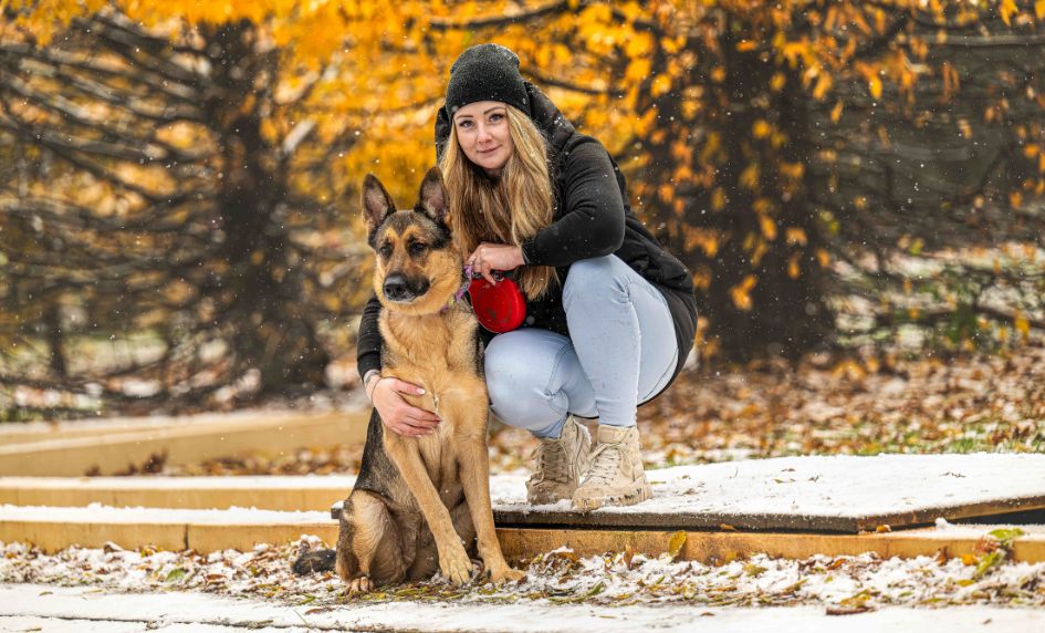 @brownie_i_am_germanshepherd