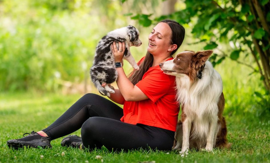 @borderkolie_dasty_auri