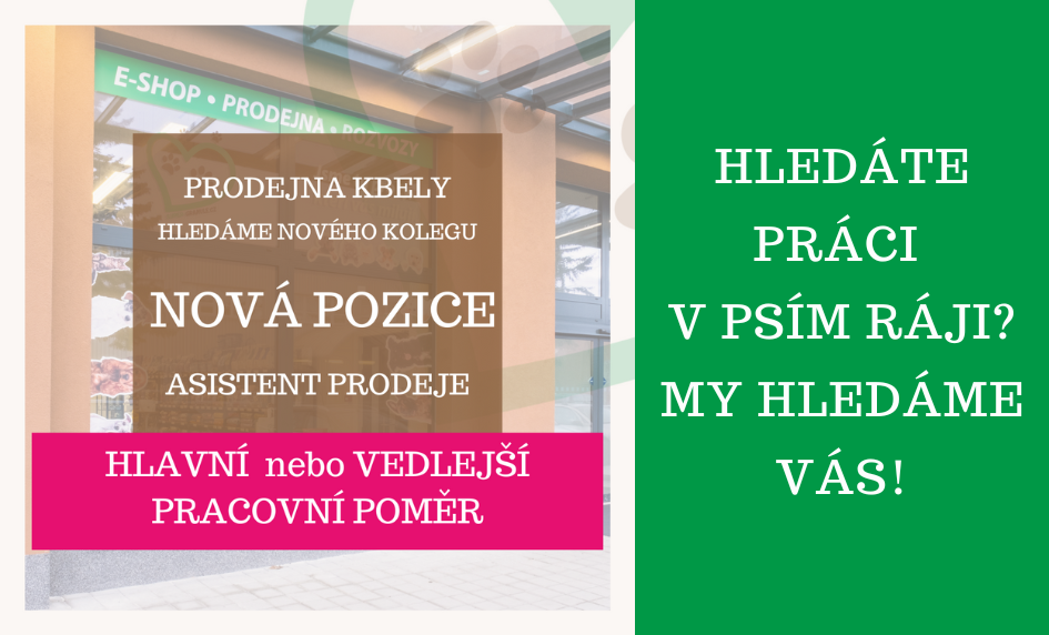 NOVÁ POZICE - ASISTENT PRODEJE - obsazeno