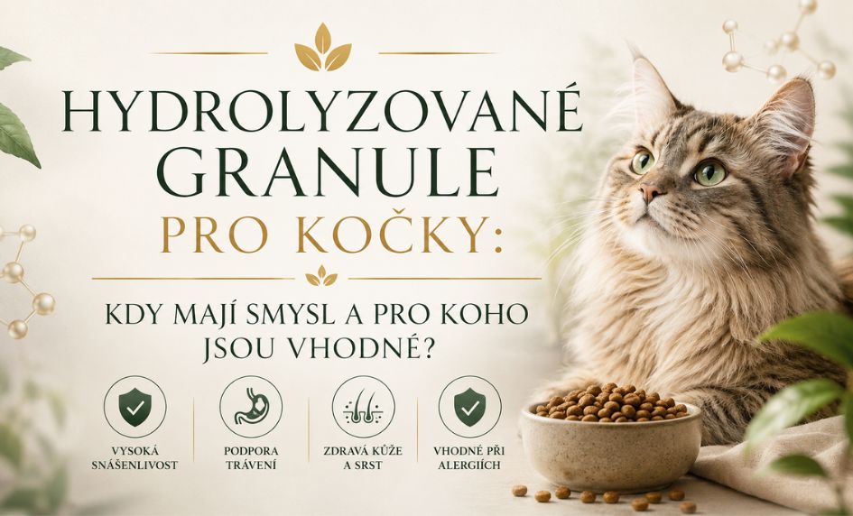 Hydrolyzované granule pro kočky: Kdy mají smysl a pro koho jsou vhodné?