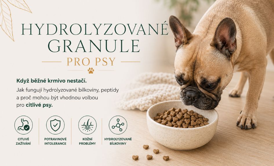 Hydrolyzované granule pro psy: Jak fungují a kdy mají smysl?