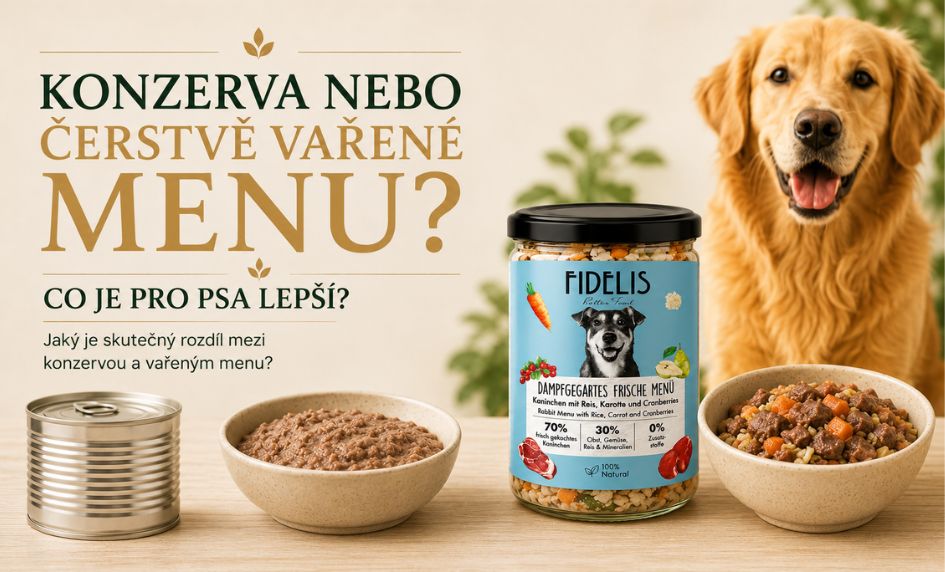Konzerva nebo čerstvě vařené menu? Co je pro psa lepší?