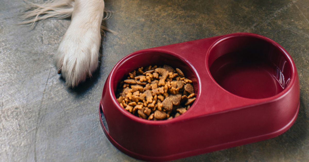 Skladování granulí: Proč garáž škodí a barel může být past