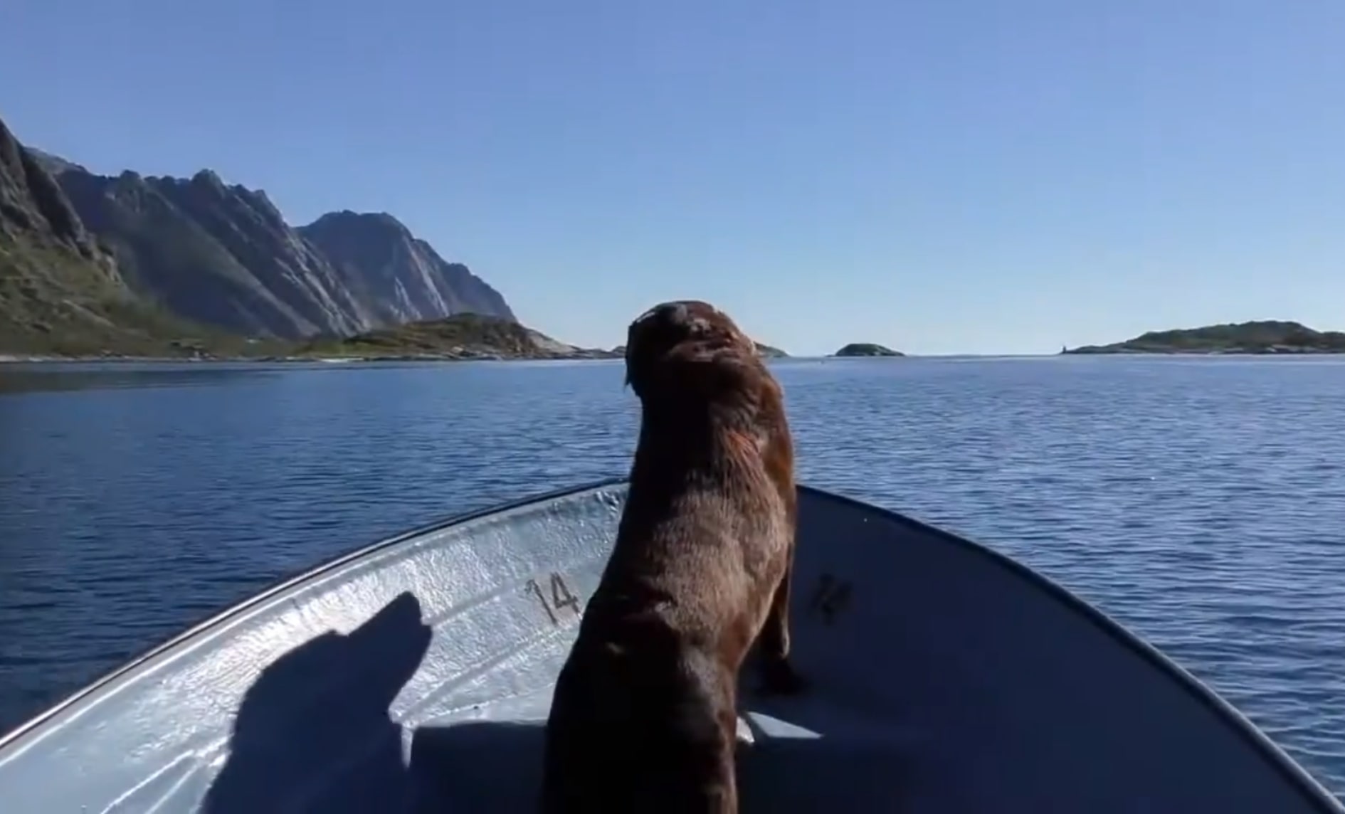 Když se řekne: "prázdniny.."