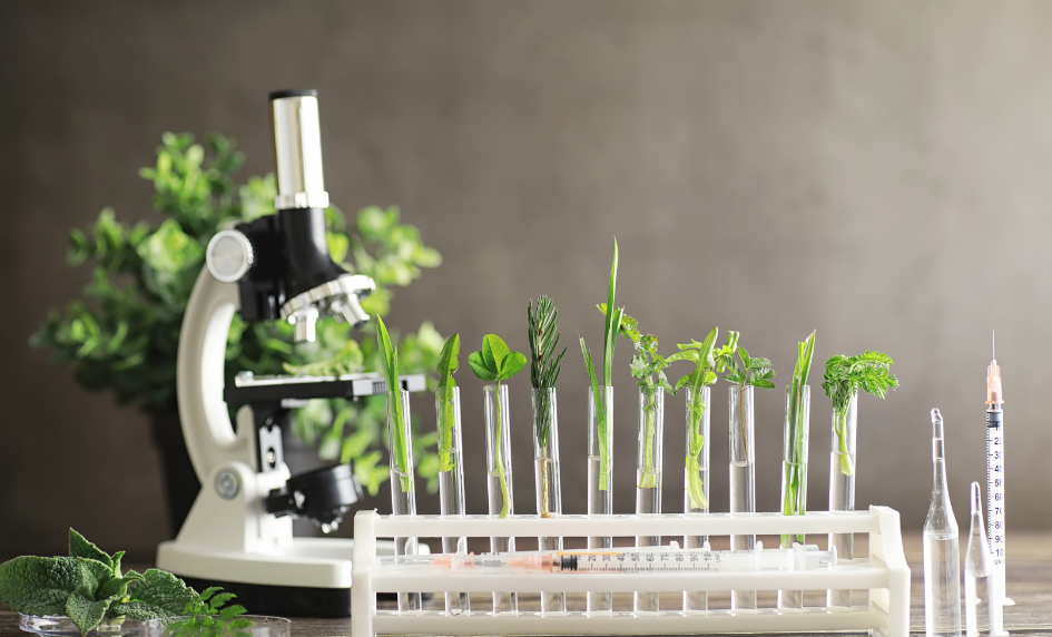 MAJÍ DOPLŇKY STRAVY SMYSL A VLIV NA ZDRAVÍ PEJSKA?