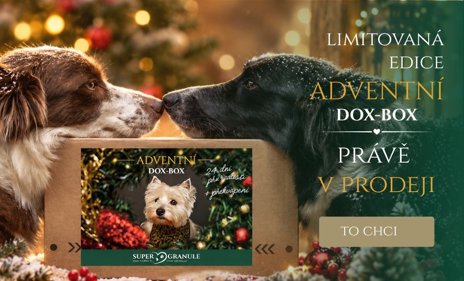 Adventní kalendář DOX-BOX