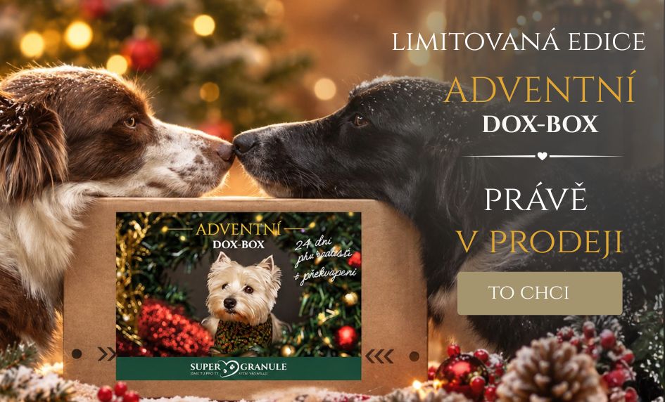 Adventní kalendář DOX-BOX