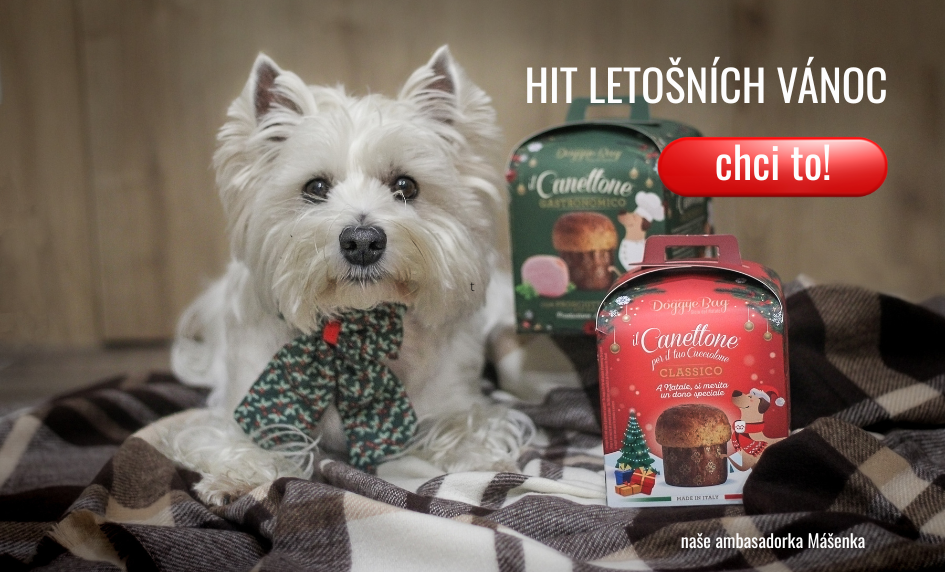 CANETTONE Hit letošních Vánoce