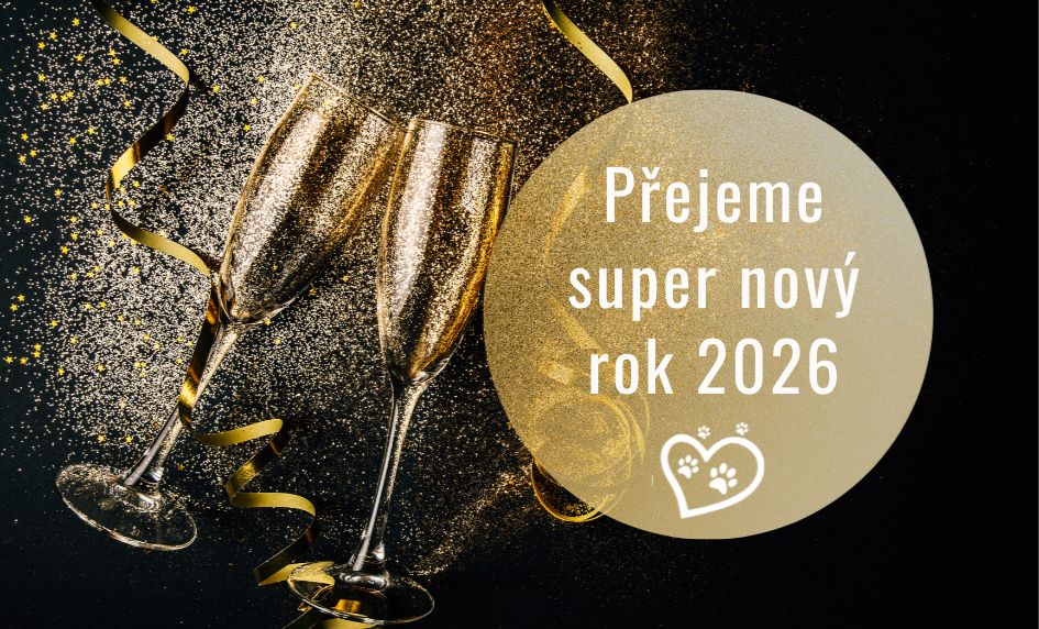 Šťastný rok 2026