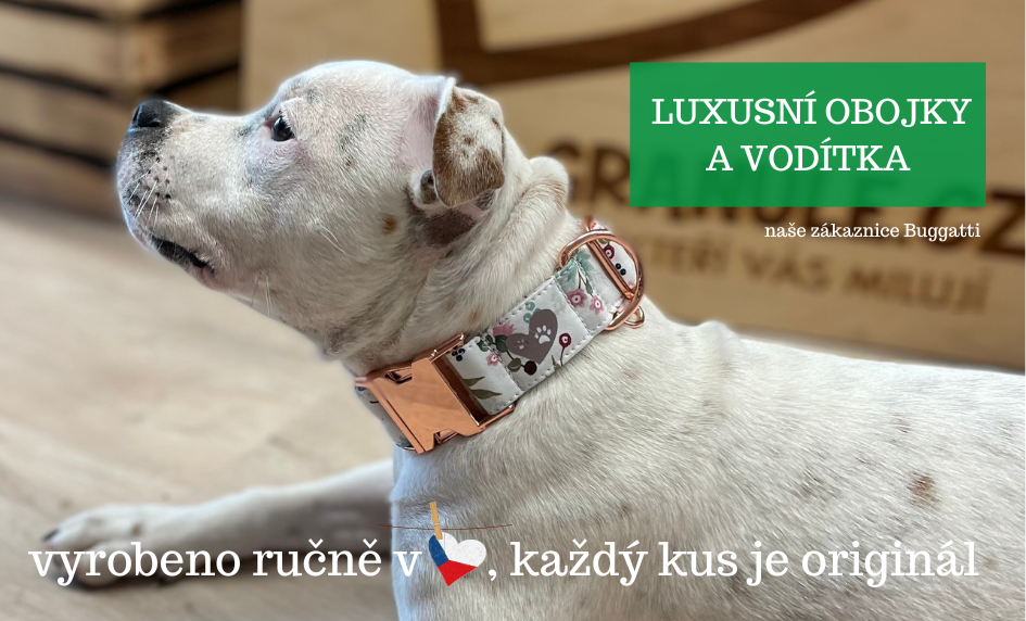 Obojky/vodítka