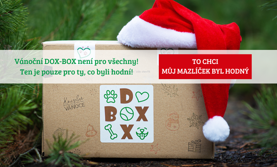 VÁNOČNÍ DOX BOX dárek pro Vaše chlupáče přímo pod stromeček!