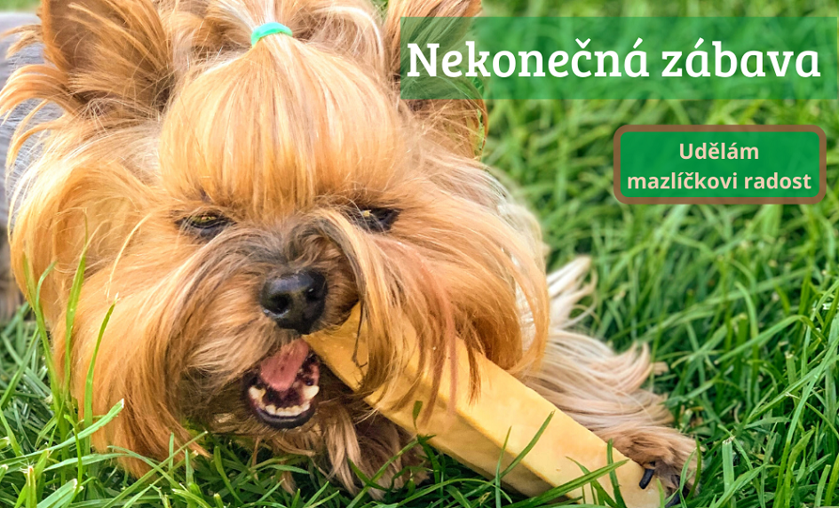 Himalájská tyčinka