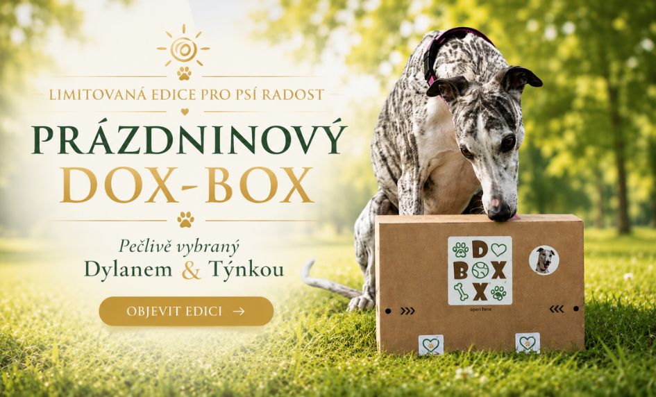 DOX-BOX prázdniny DYLAN a TÝNKA