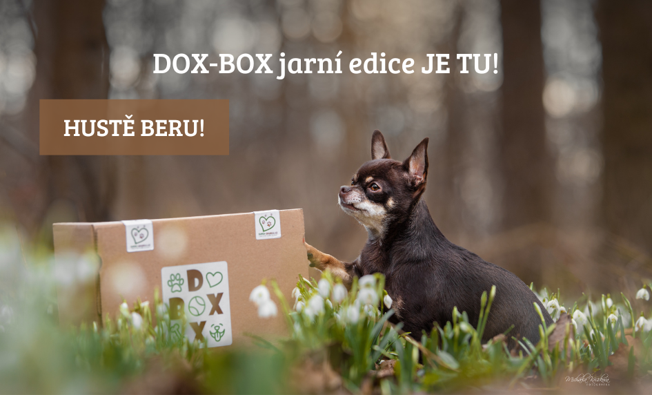 DOX-BOX jarní edice