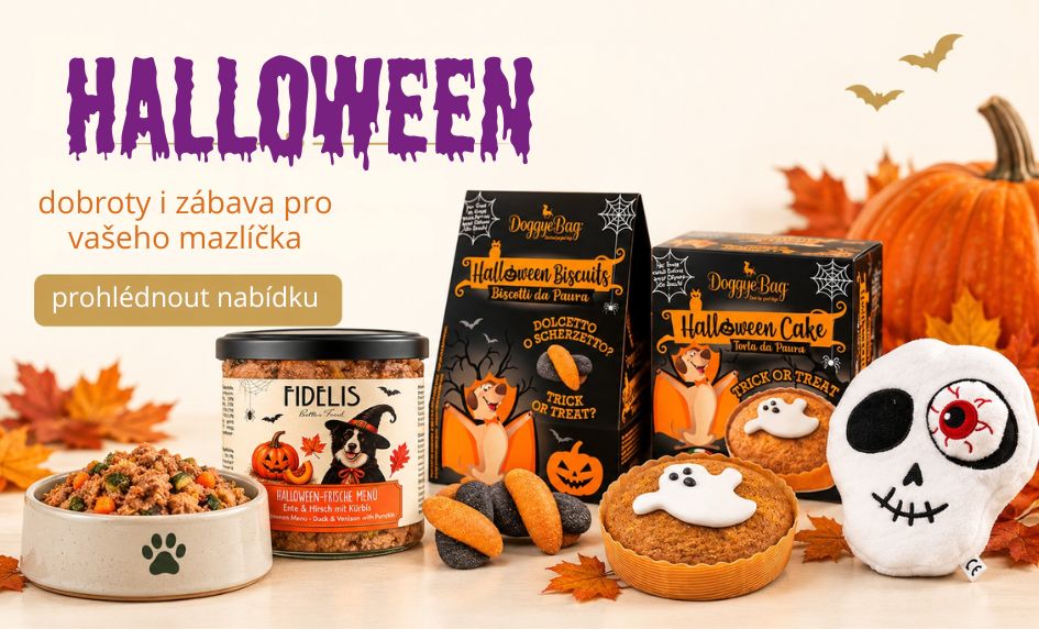 Hallowenské dobroty a zábava pro psy
