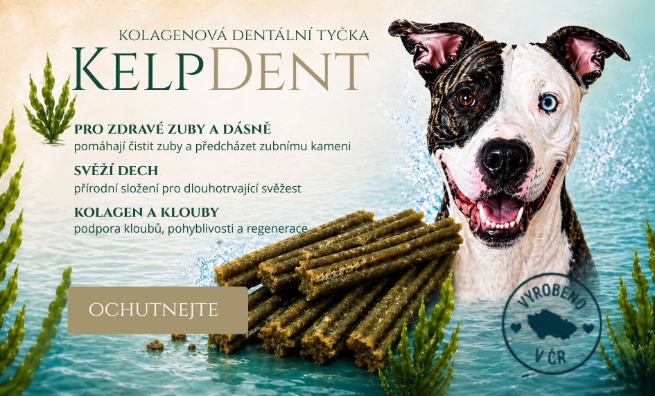 KelpDent