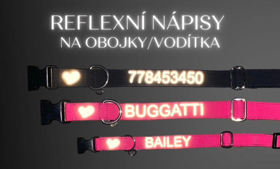 Reflexní nápisy