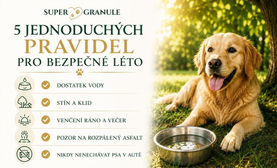 5-pravidel-na-leto-prehrati