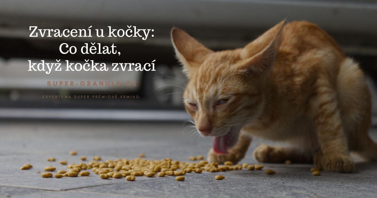 co-delat-kdyz-kocka-zvraci