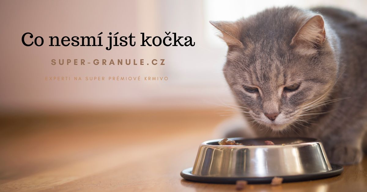 co-nesmi-jist-kocka